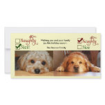 Two dog Christmas card photo template Photo Greeting Card