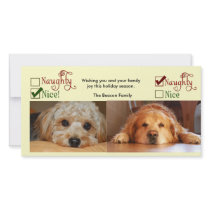 Two dog Christmas card photo template Photo Greeting Card