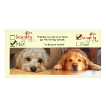 Two dog Christmas card photo template Photo Greeting Card