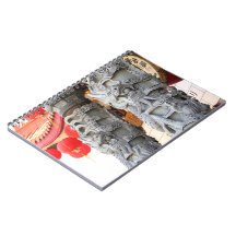 Two Dragons Spiral Note Books