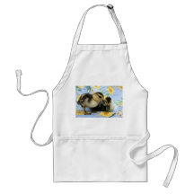 two ducklings one eyeing camera close apron