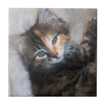 Two faced cat ceramic tiles