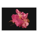 Two Fuschia's Personalized Stationery