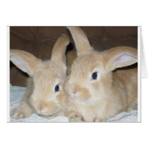 Two Golden Bunnies Card