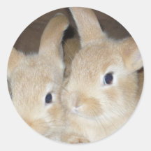 Two Golden Bunnies Round Sticker