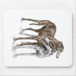 Two Greyhound Dog Friends Mouse Pad