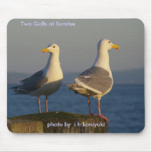 Two Gulls at Sunrise Mouse Pad