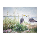 Two Gulls on the shore Postcard