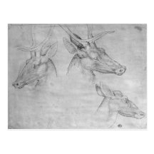 Two heads of stags, one head of a doe post cards