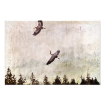 Two Herons Flying Photo