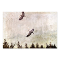 Two Herons Flying Photo