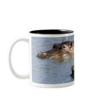 Two hippos in a river, Kruger National Park, Mugs