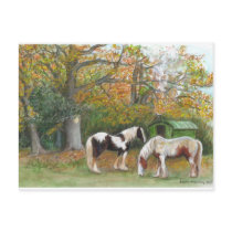 Two horses and a gypsy wagon - Postcard