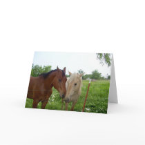 Two Horses - Blank Inside Cards