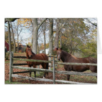 Two Horses! Card