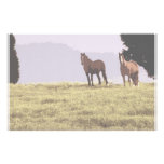 Two Horses Customized Stationery