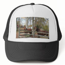 Two Horses! Mesh Hat