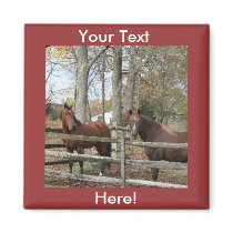 Two Horses! Refrigerator Magnet