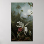Two Hummingbirds above a White Orchid, 1870s Posters