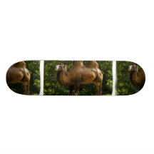Two Humped Camel Skateboard