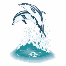two jumping dolphins acrylic cut out