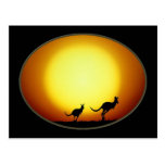 Two Kangaroos Silhouetted in an Oval Design Postcard