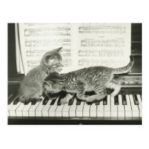 Two kitten playing on piano keyboard, (B&W) postcards