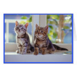Two Kittens Cards