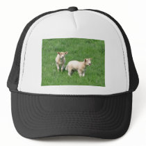 Two Lambs Trucker Hat