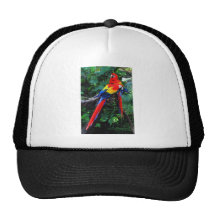 Two Macaws Hats