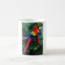 Two Macaws Mugs