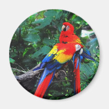 Two Macaws Refrigerator Magnet