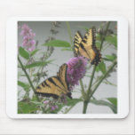 Two Monarchs & Flower Mousepads