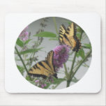 Two Monarchs Mouse Pad