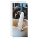 Two Mortars and Pestles in Lab rack cards
