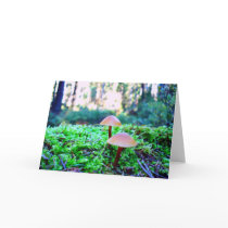 two mushrooms greeting card