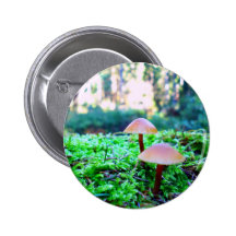 two mushrooms pinback buttons