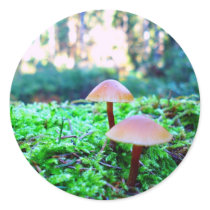 two mushrooms stickers