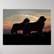 Two Newfoundlands poster