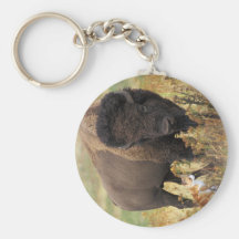 Two of a Kind Keychains