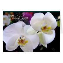 Two Orchid thank you note cards