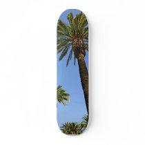 Two Palm Trees With Blue Sky Skateboard