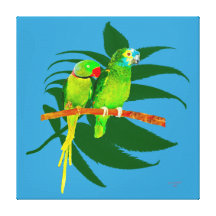 Two Parrots Canvas Print