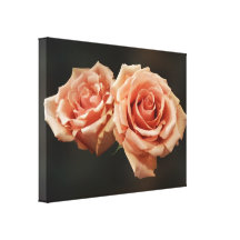 Two Peach Roses Gallery Wrap Canvas