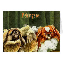 Two Pekingese Dogs Greeting Card