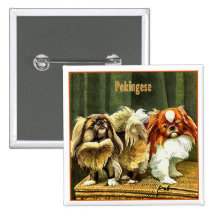 Two Pekingese Dogs Pinback Button