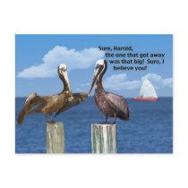 Two Pelicans and a Fish Story Postcard