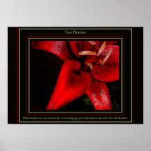 Two Pennies on Black Poster
