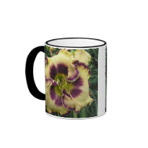 Two Picture Mug