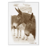 Two Points of View Greeting Cards